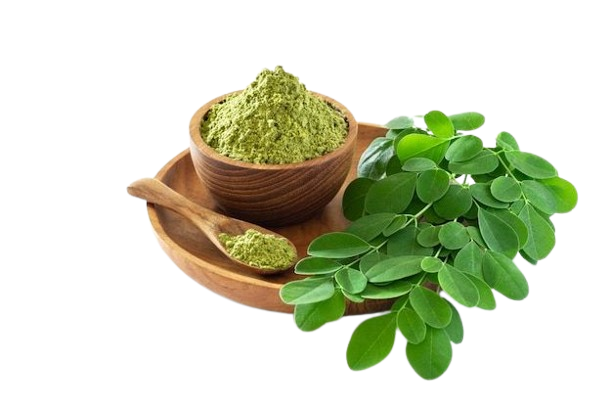 Moringa Powder
